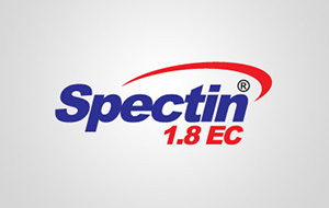 Spectin Logo