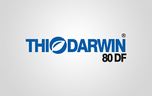 Thiodarwin Logo Tasarımı